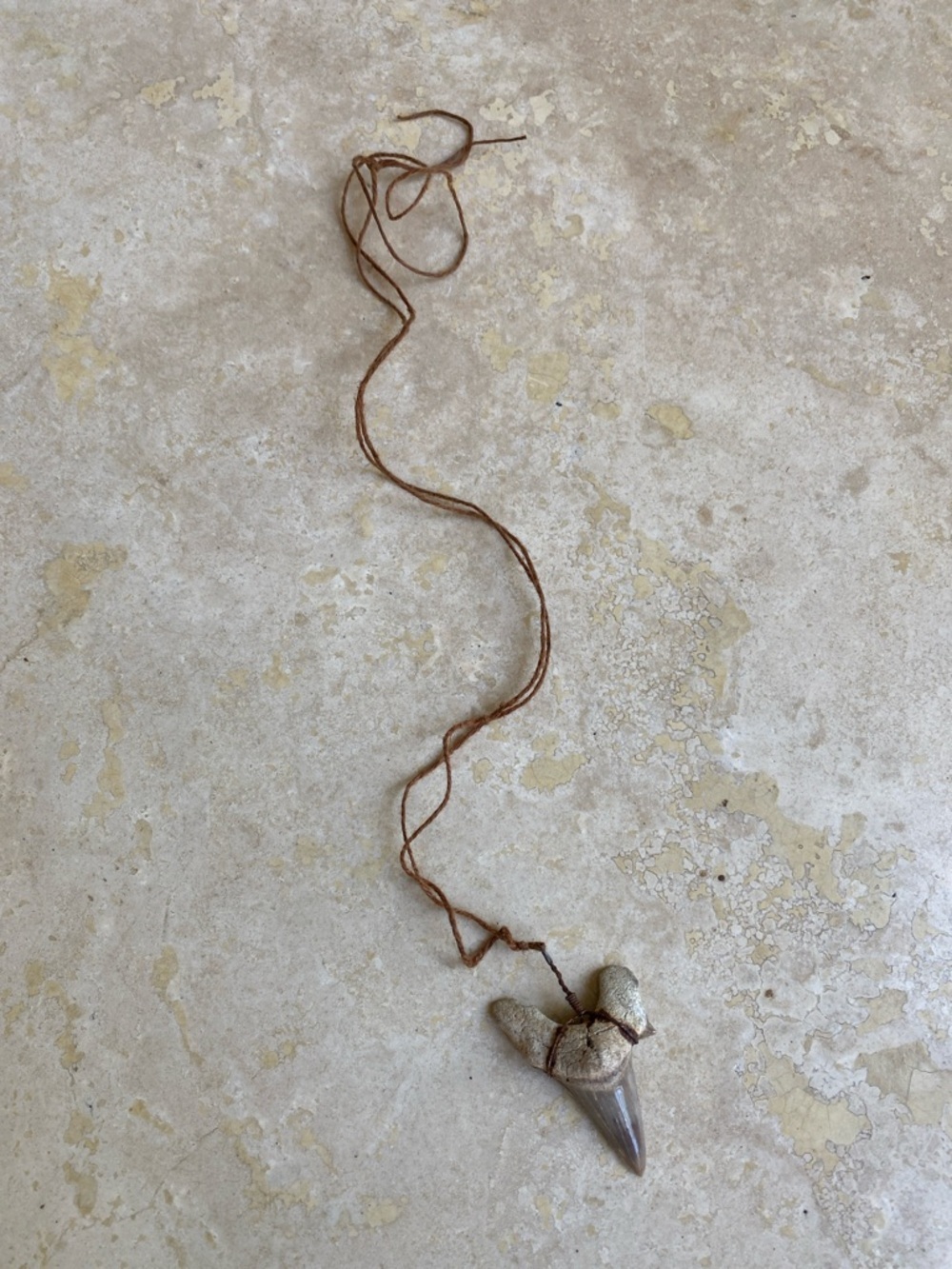 “Shark tooth” necklace from Maui- L